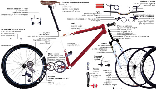 Горный велосипед в разрезе